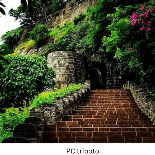 PCFlik (2)