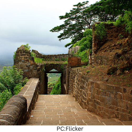 PCFlik (3)